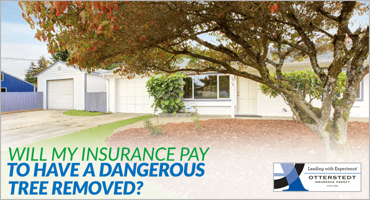Will My Insurance Pay To Have a Dangerous Tree Removed?