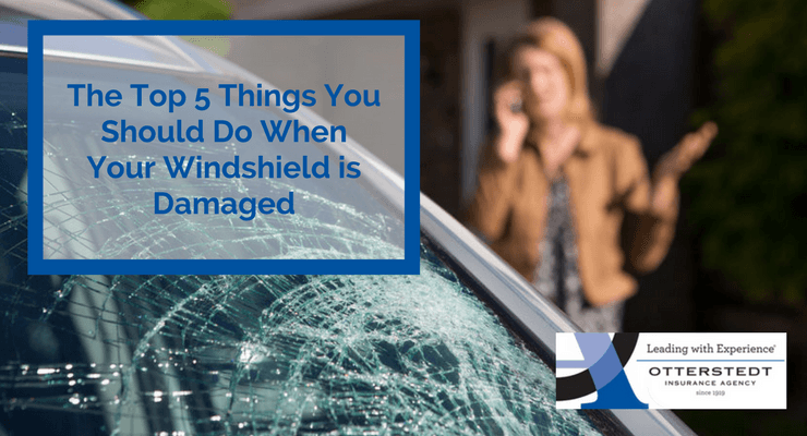 The Top 5 Things You Should Do When Your Windshield is Damaged