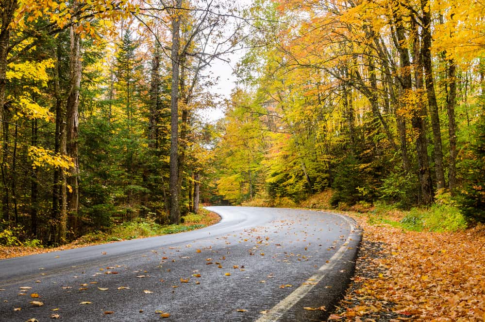 Tips To Prepare Your Home and Car for The Fall