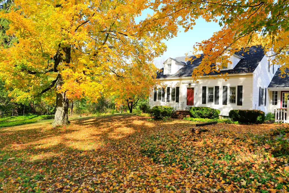 Tips to Get Your Home And Yard Ready for Fall Weather